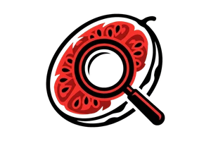 涩漫 - 吃瓜社Logo